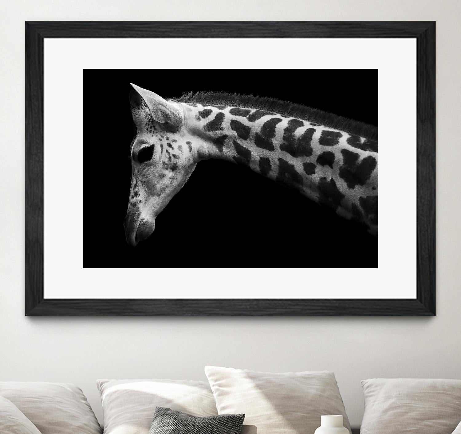 Williams - Calf by 1X on GIANT ART - white animals