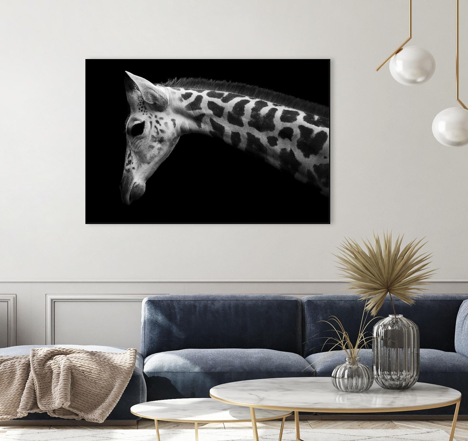 Williams - Calf by 1X on GIANT ART - white animals