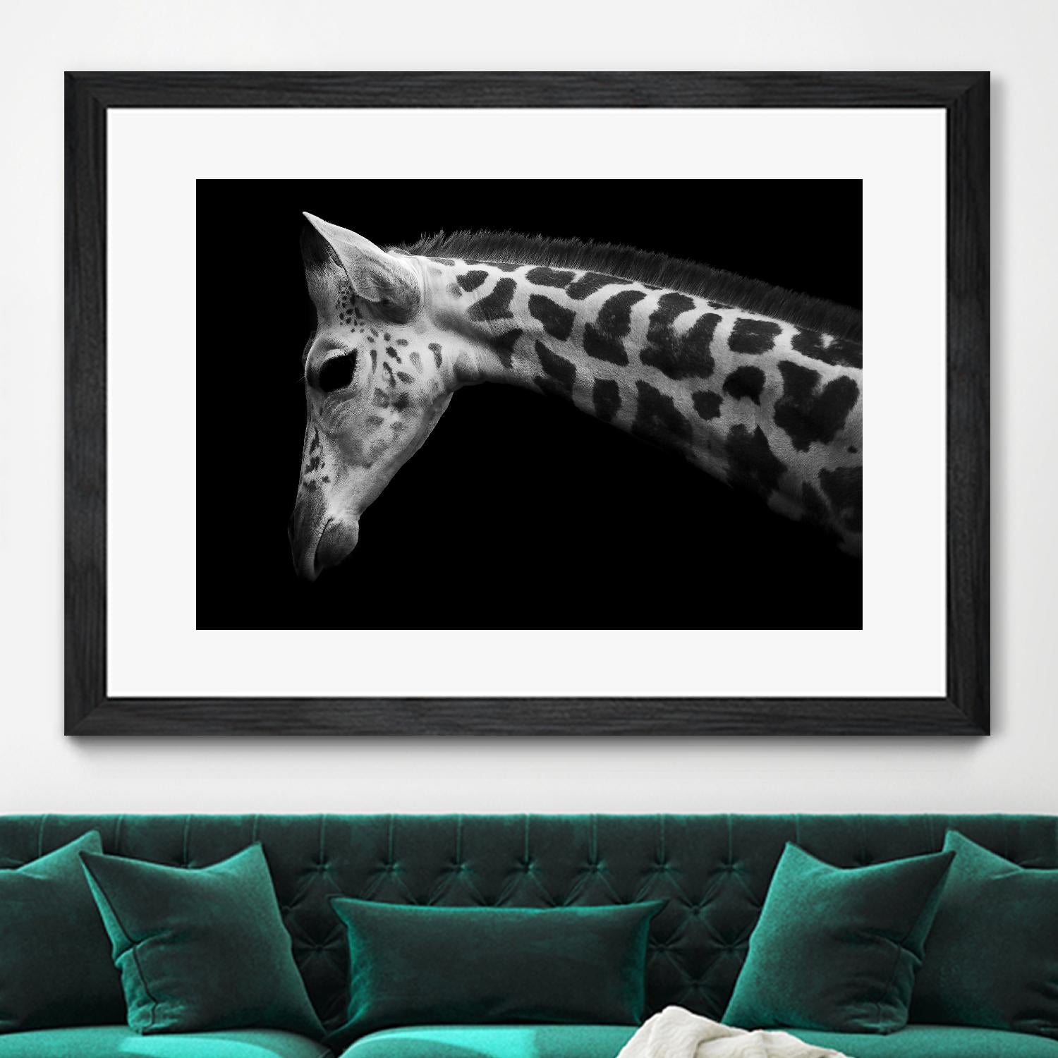 Williams - Calf by 1X on GIANT ART - white animals