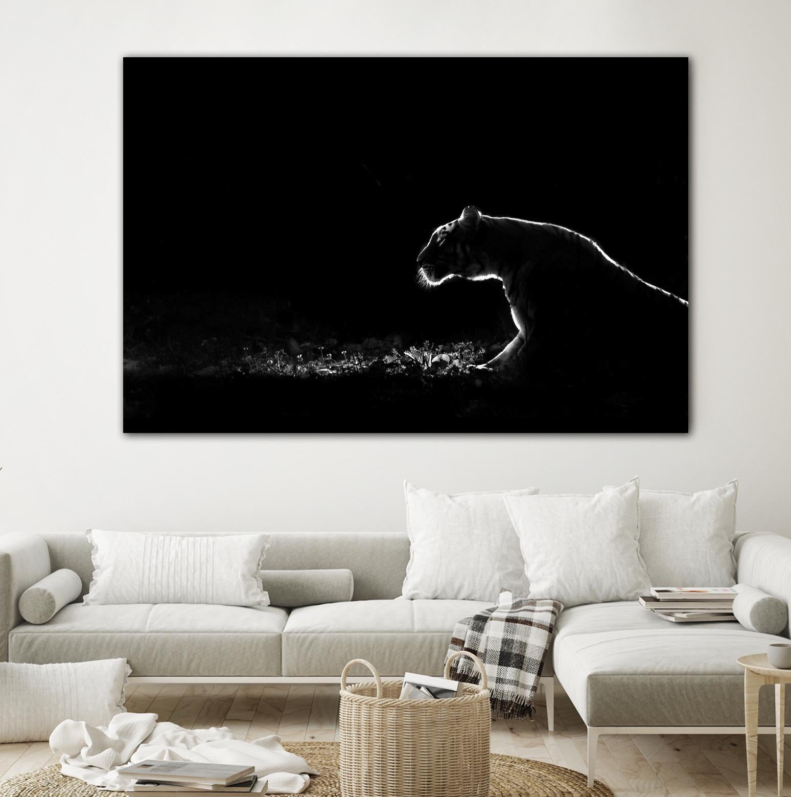 Amot - Untitled by 1X on GIANT ART - white animals