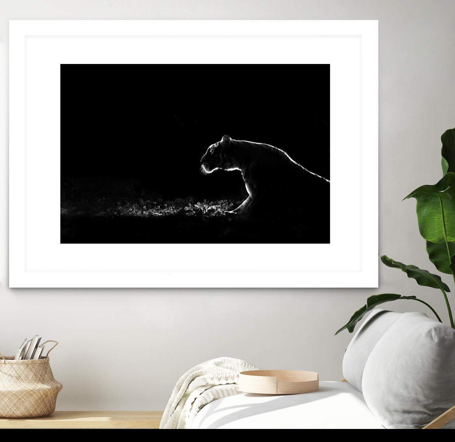 Amot - Untitled by 1X on GIANT ART - white animals