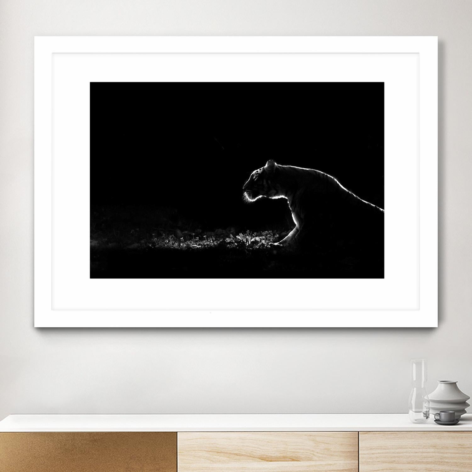 Amot - Untitled by 1X on GIANT ART - white animals