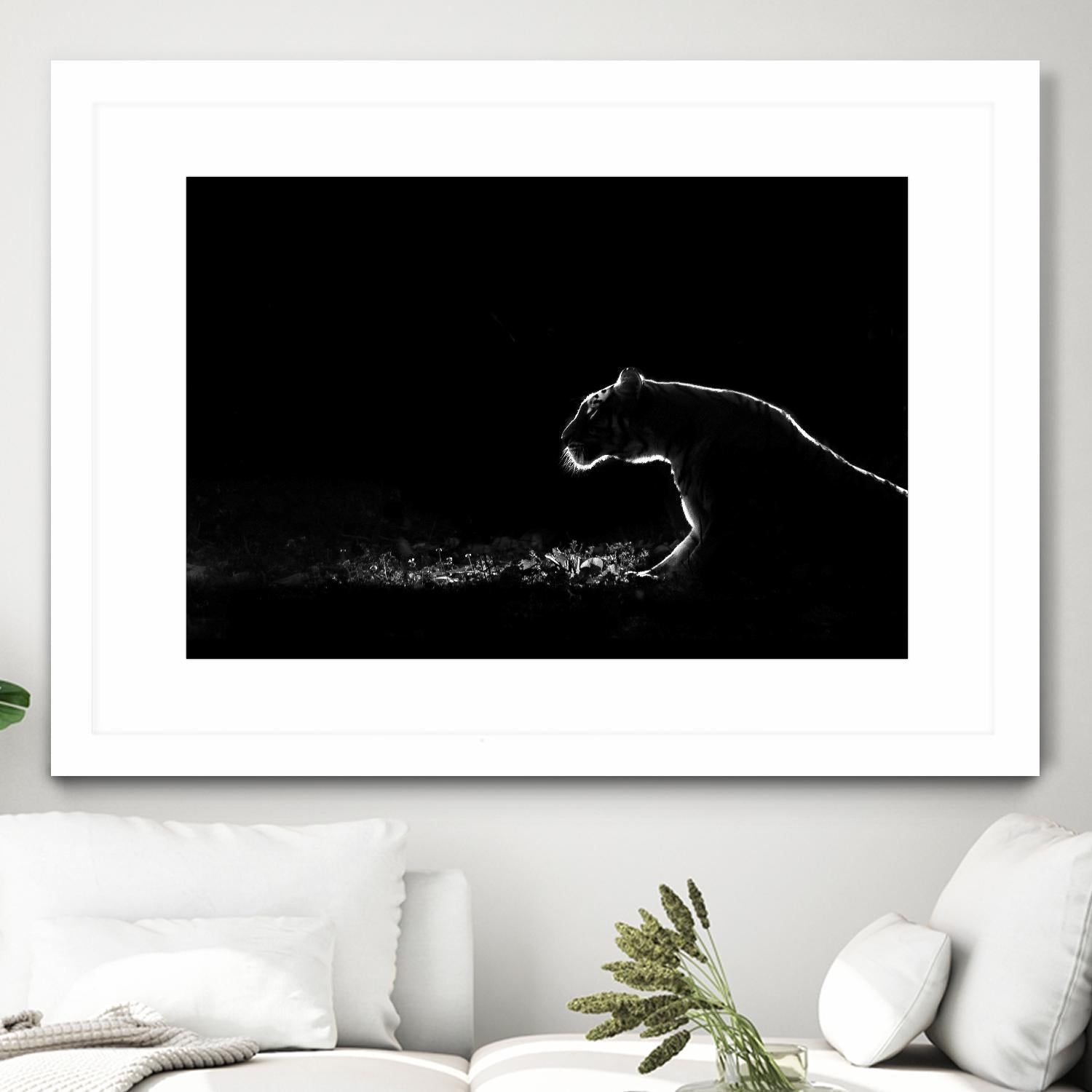 Amot - Untitled by 1X on GIANT ART - white animals