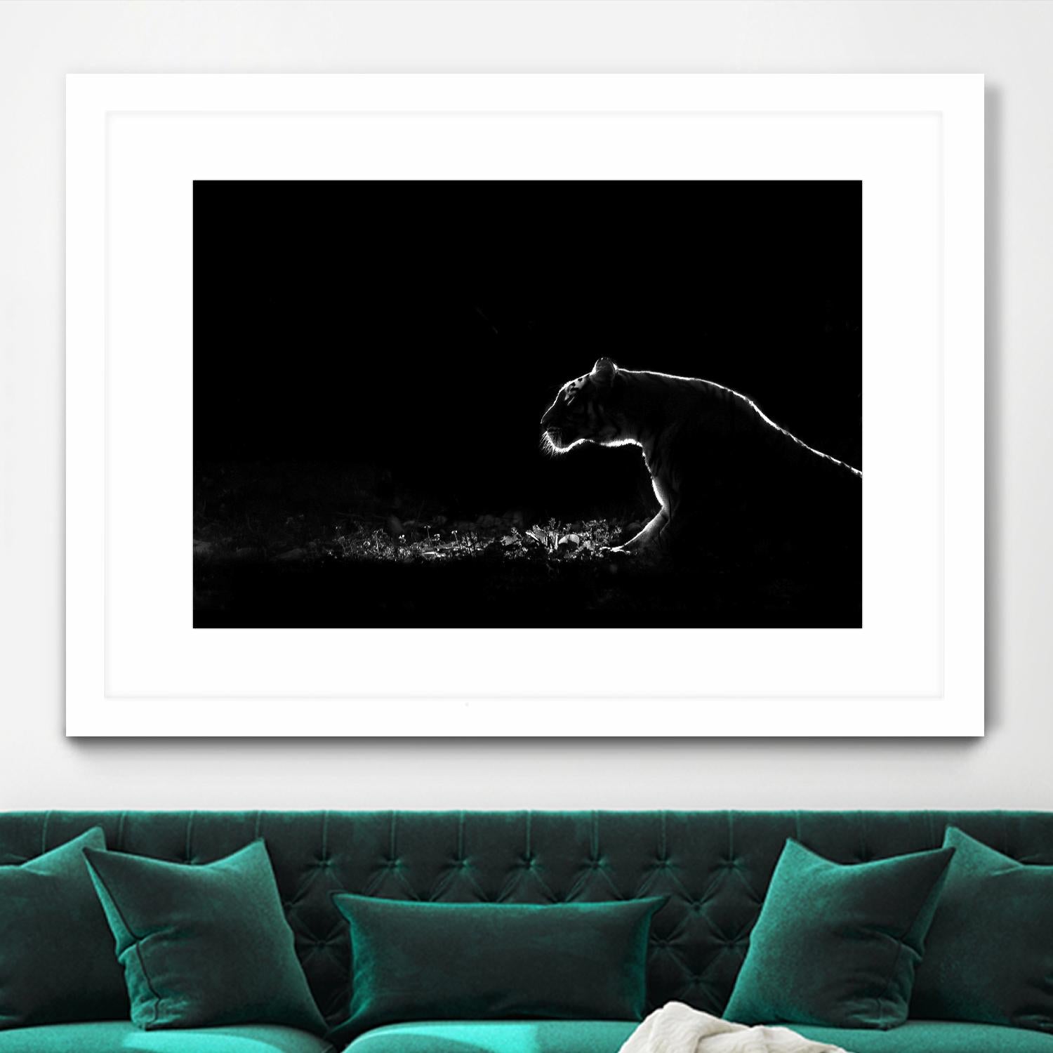 Amot - Untitled by 1X on GIANT ART - white animals