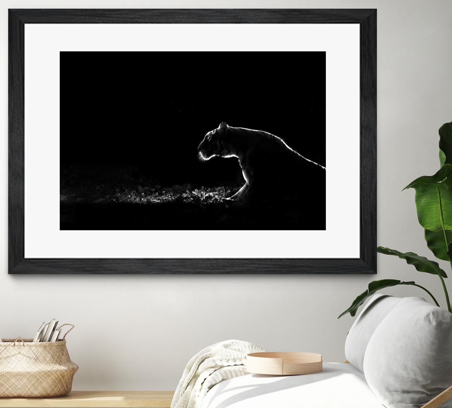 Amot - Untitled by 1X on GIANT ART - white animals