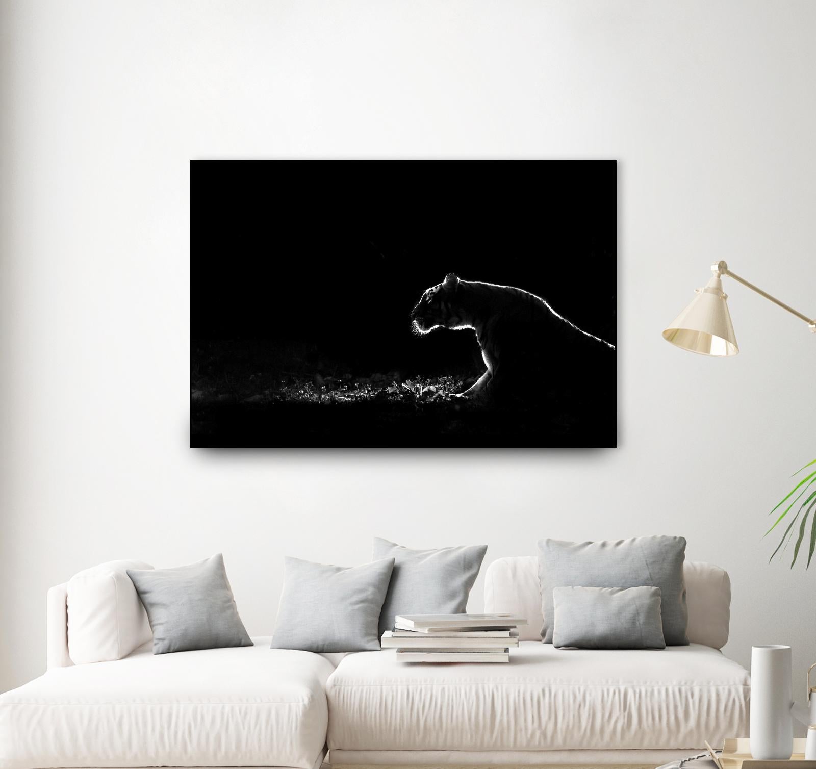 Amot - Untitled by 1X on GIANT ART - white animals