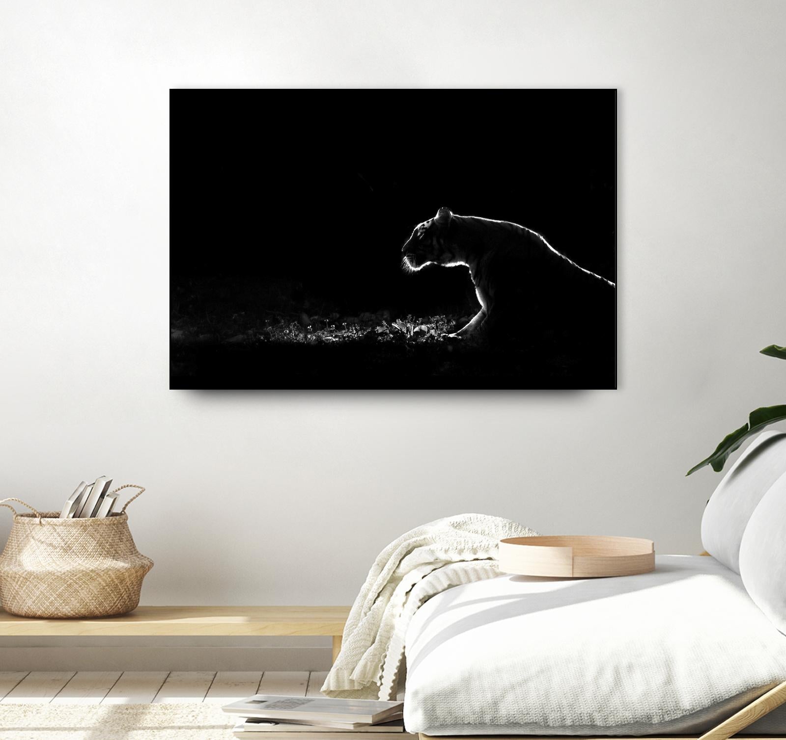 Amot - Untitled by 1X on GIANT ART - white animals