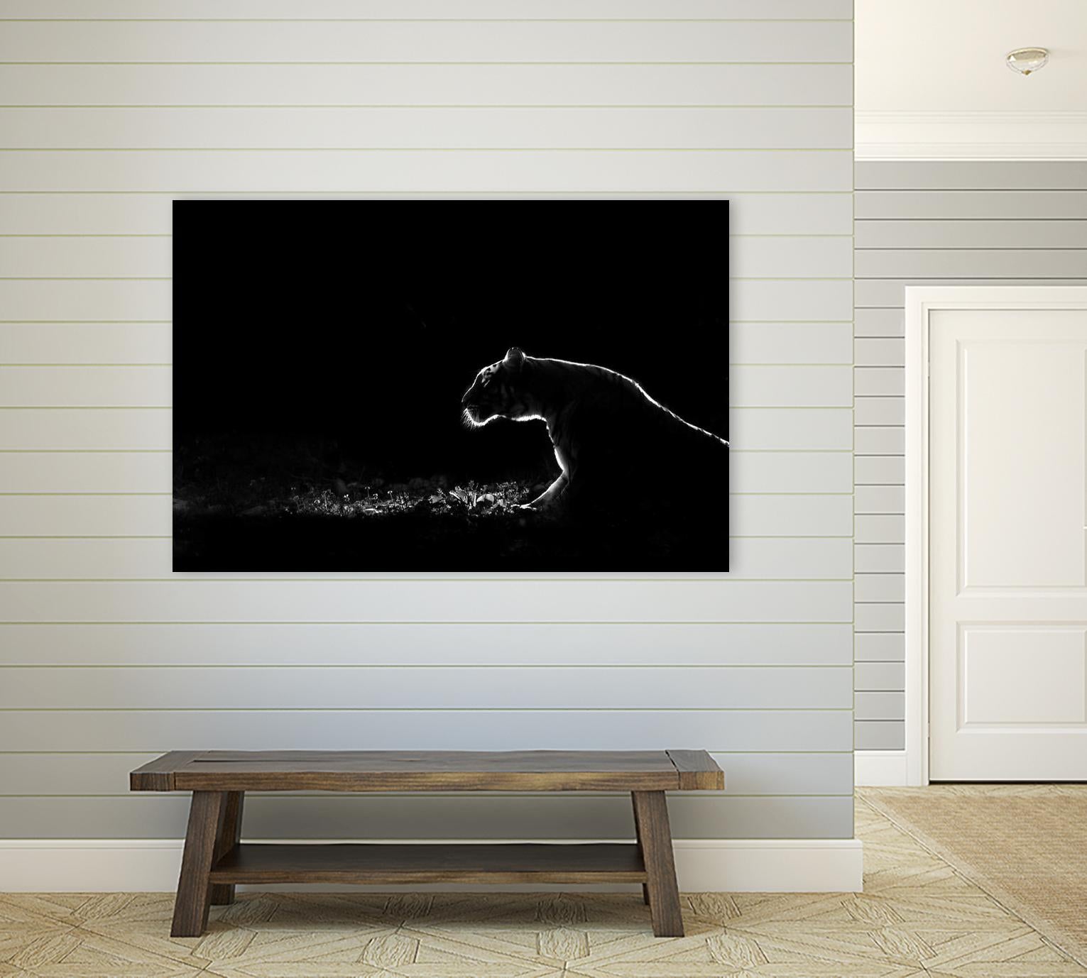 Amot - Untitled by 1X on GIANT ART - white animals