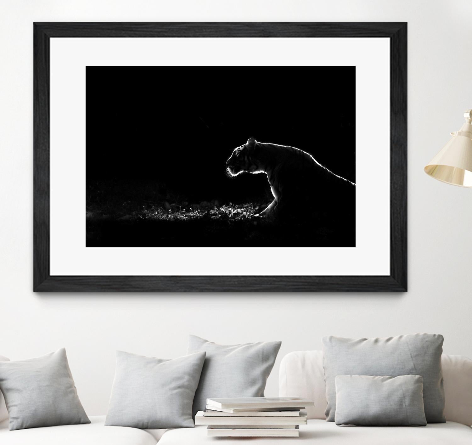 Amot - Untitled by 1X on GIANT ART - white animals