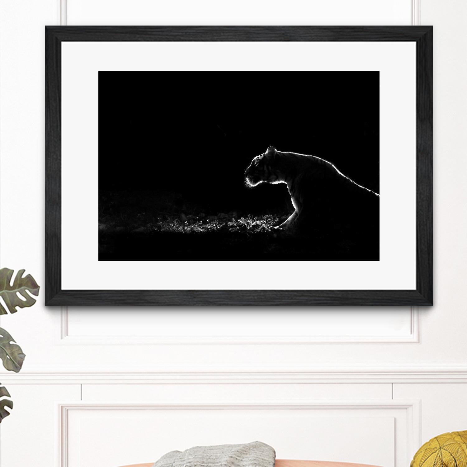 Amot - Untitled by 1X on GIANT ART - white animals