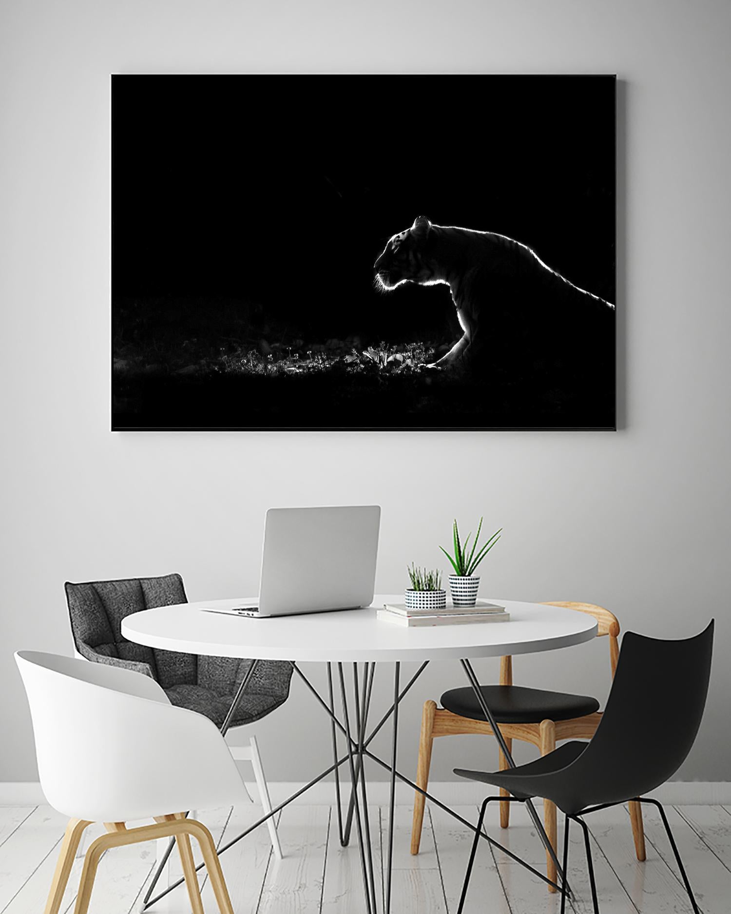 Amot - Untitled by 1X on GIANT ART - white animals