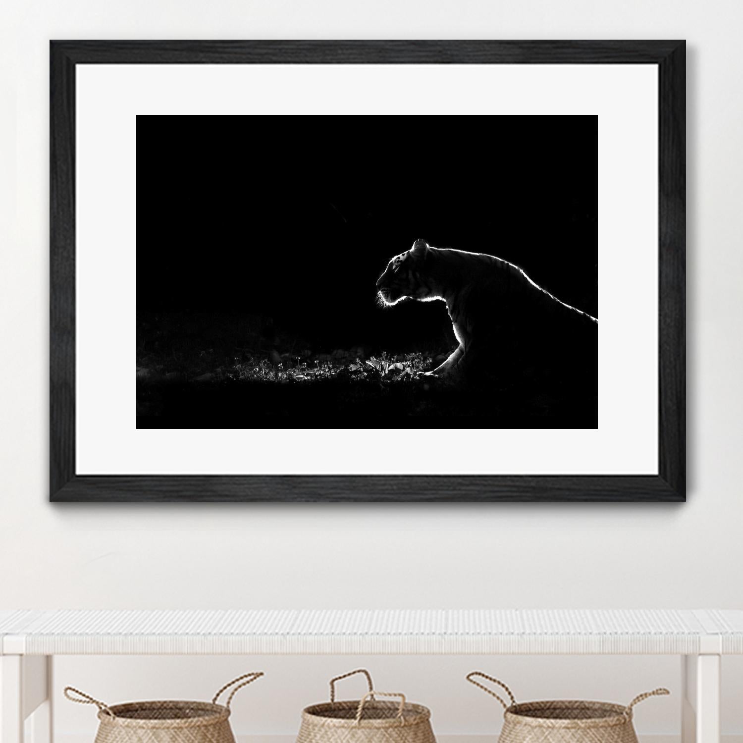 Amot - Untitled by 1X on GIANT ART - white animals