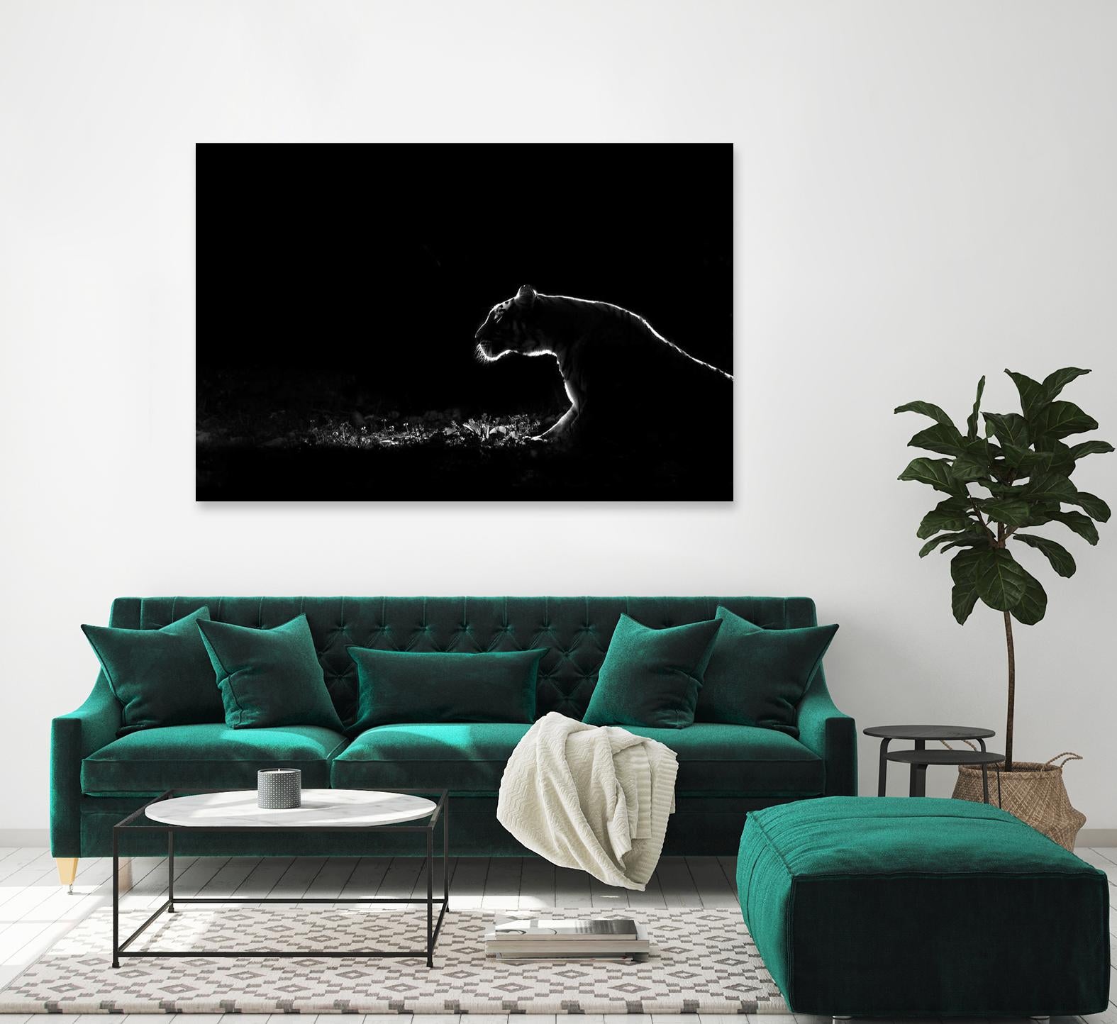 Amot - Untitled by 1X on GIANT ART - white animals