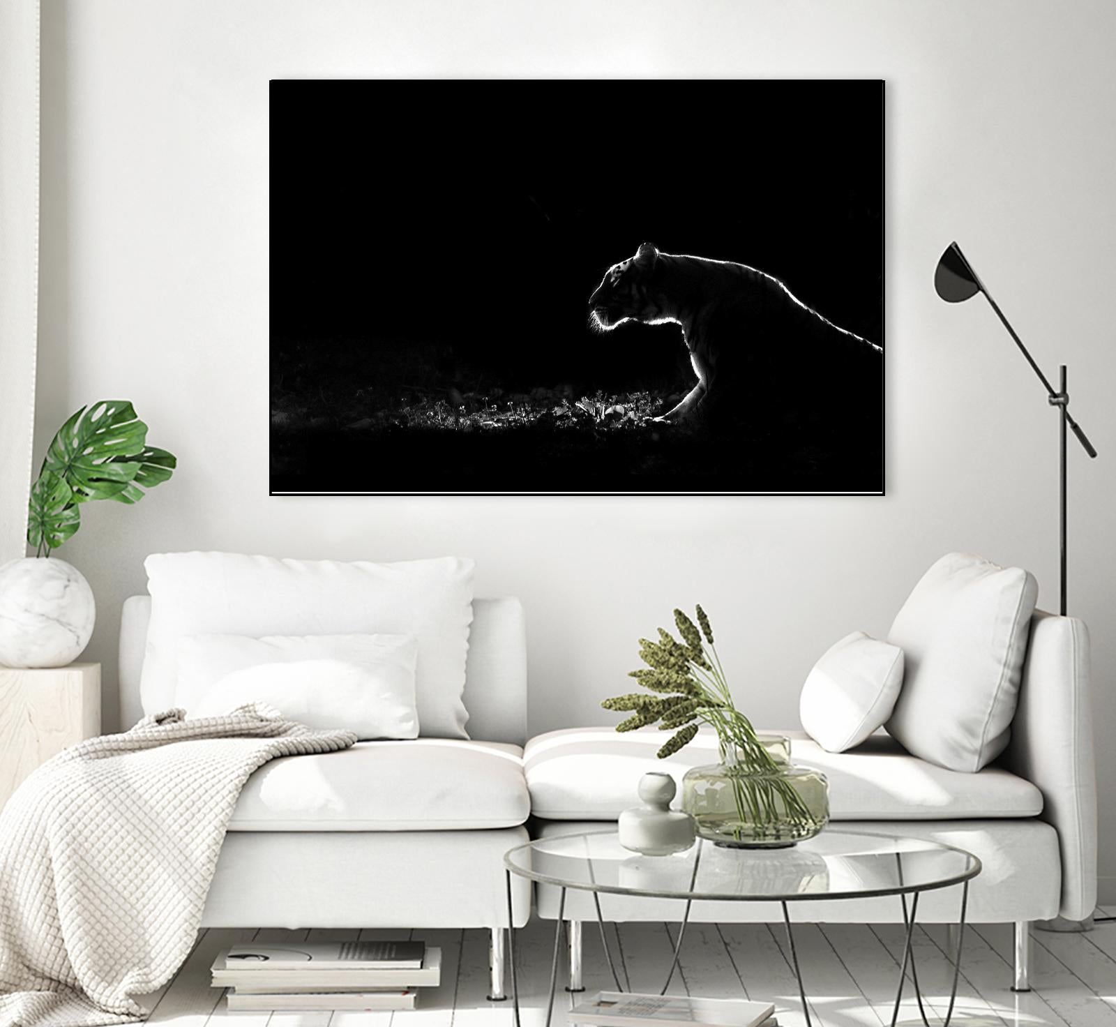 Amot - Untitled by 1X on GIANT ART - white animals