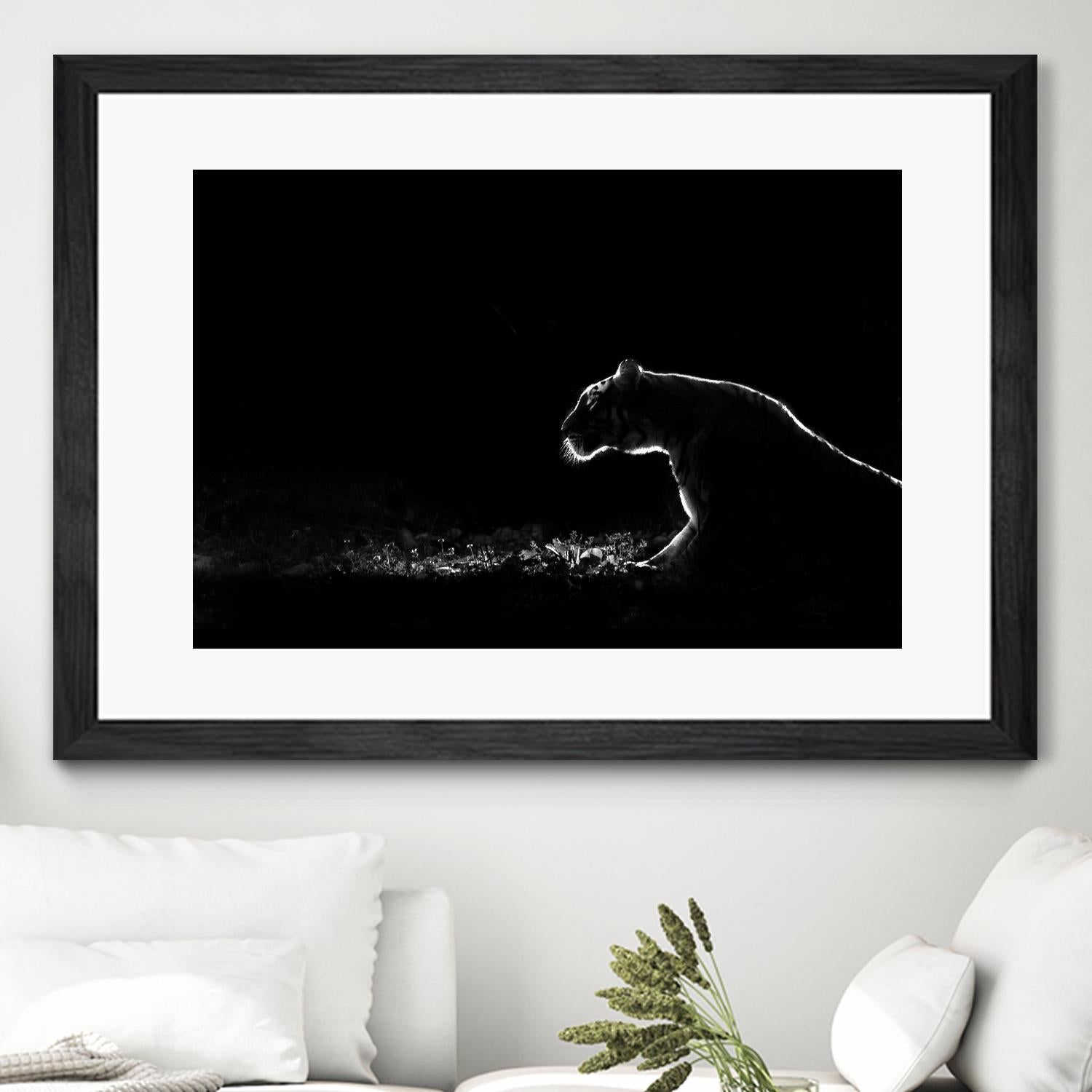 Amot - Untitled by 1X on GIANT ART - white animals