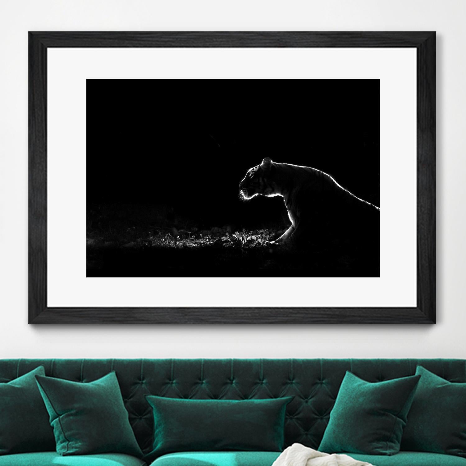 Amot - Untitled by 1X on GIANT ART - white animals