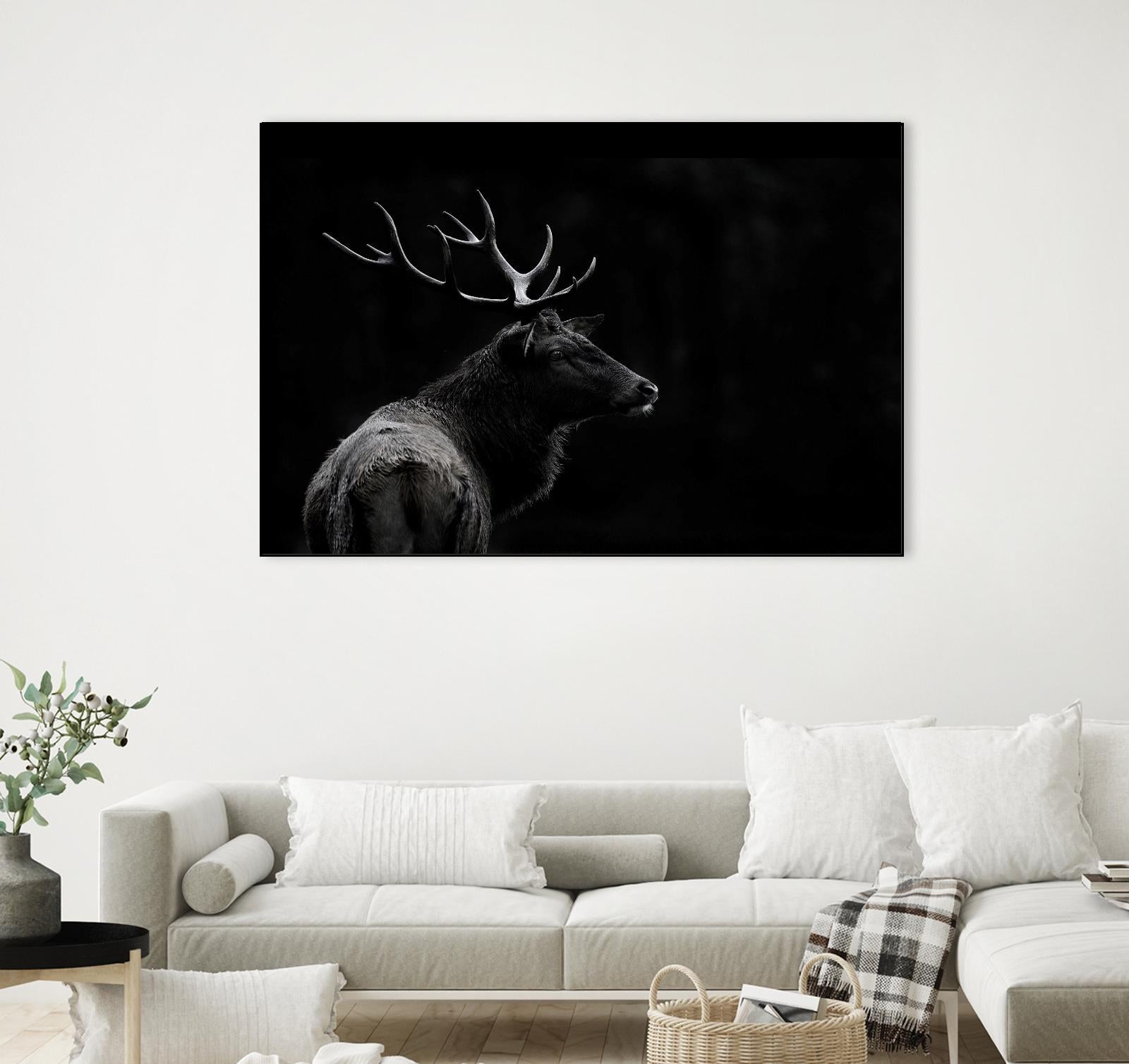The Deer Soul by PEI 1X on GIANT ART - white black & white deer