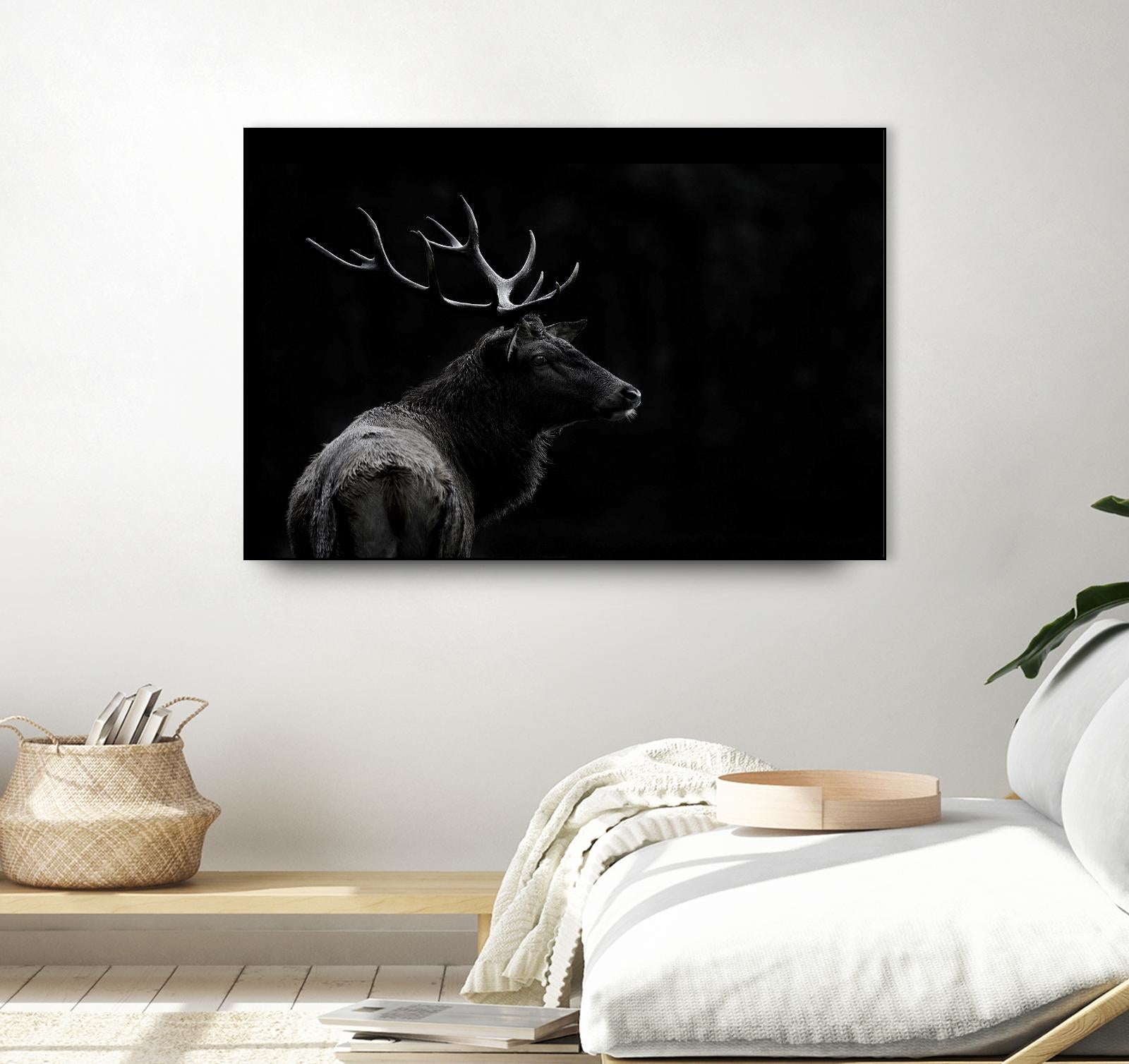 The Deer Soul by PEI 1X on GIANT ART - white black & white deer