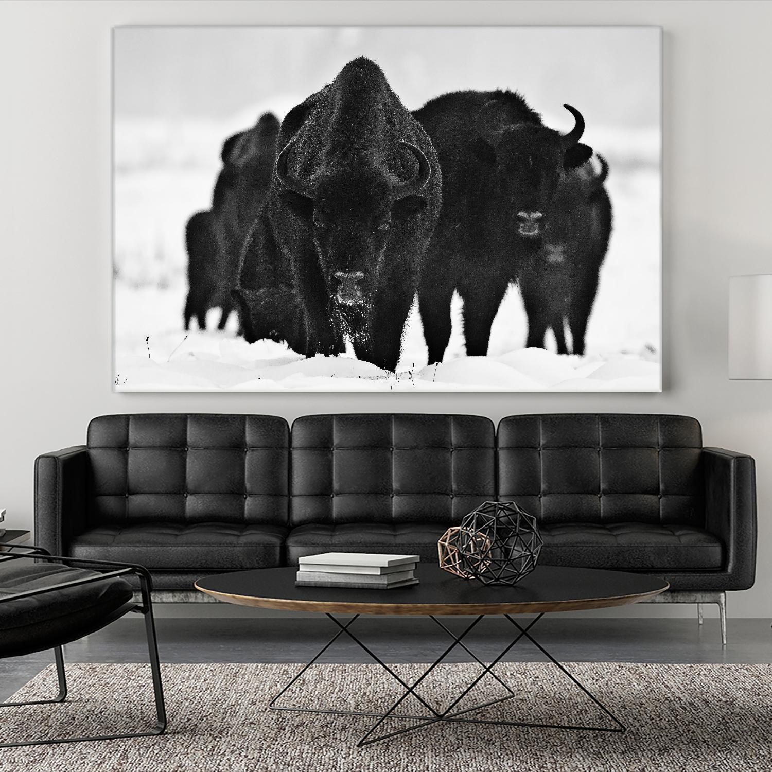 Europeans Bizons by Crepinsek 1X on GIANT ART - black animals