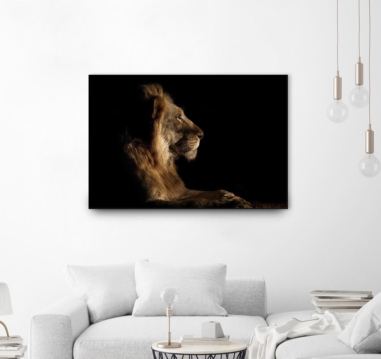 Royal Meeting in the Night by Hemb 1X on GIANT ART - black animals