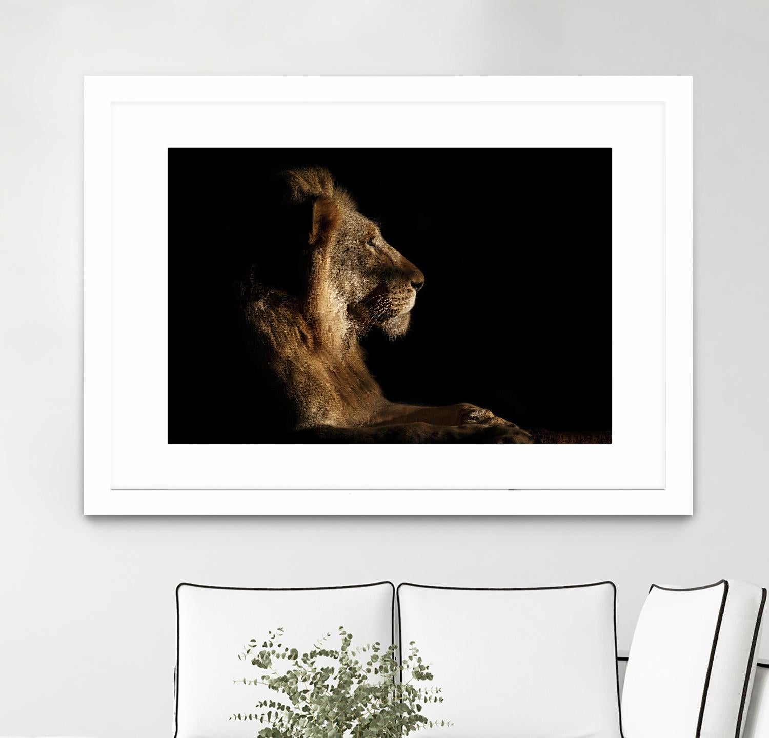 Royal Meeting in the Night by Hemb 1X on GIANT ART - black animals