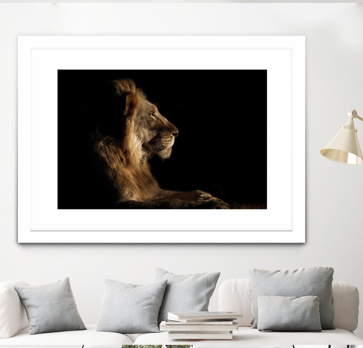 Royal Meeting in the Night by Hemb 1X on GIANT ART - black animals