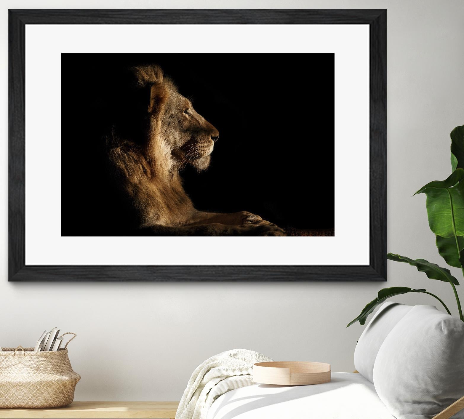 Royal Meeting in the Night by Hemb 1X on GIANT ART - black animals