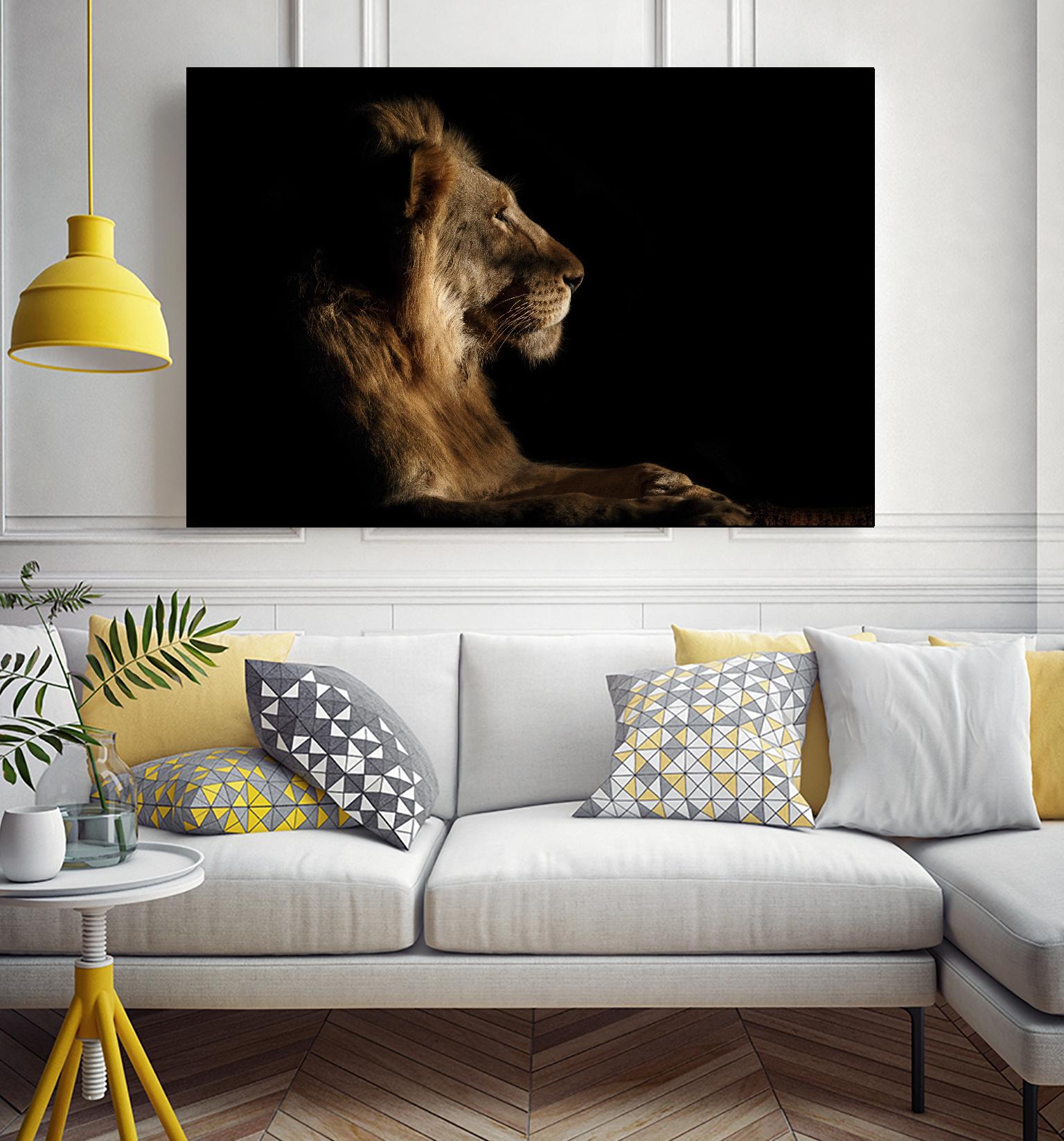 Royal Meeting in the Night by Hemb 1X on GIANT ART - black animals