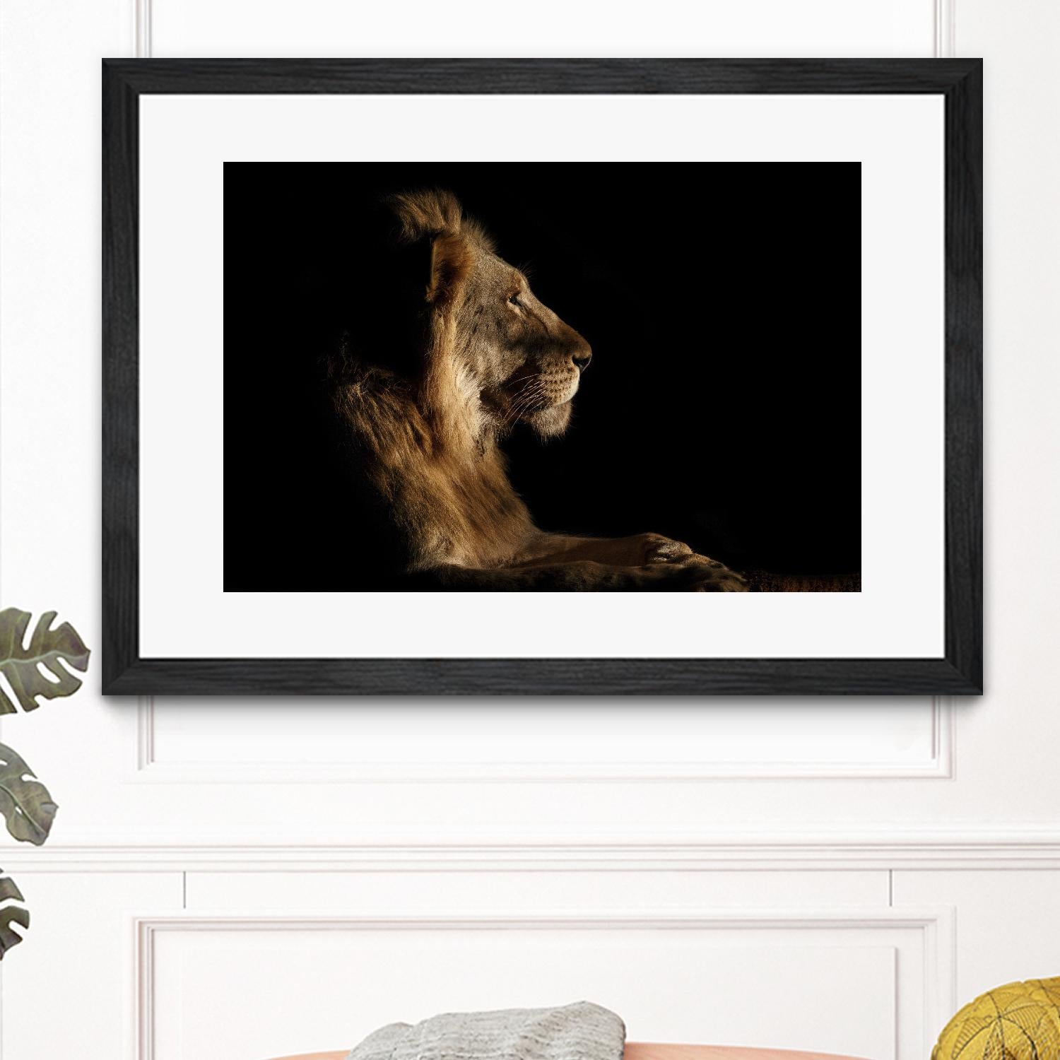 Royal Meeting in the Night by Hemb 1X on GIANT ART - black animals