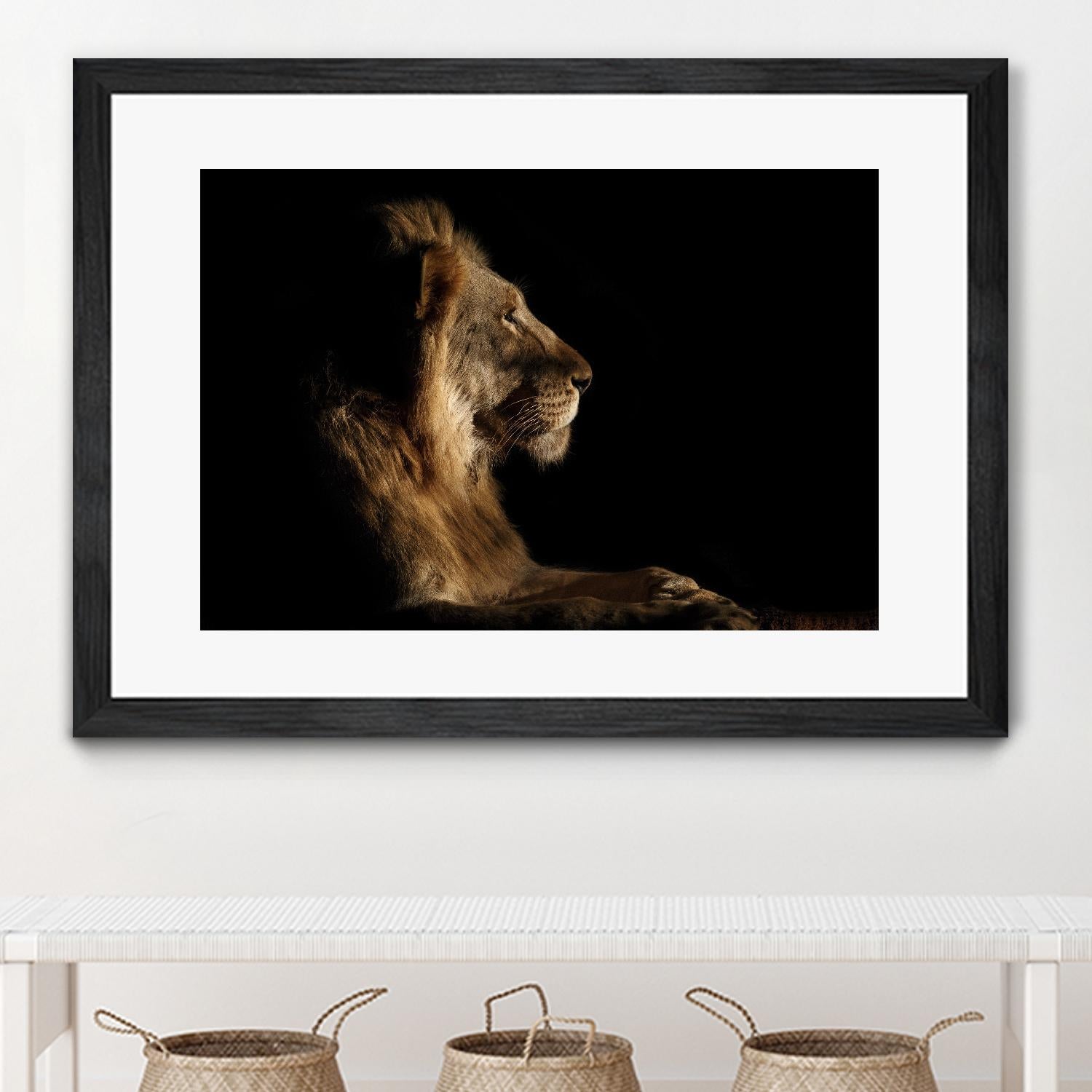 Royal Meeting in the Night by Hemb 1X on GIANT ART - black animals