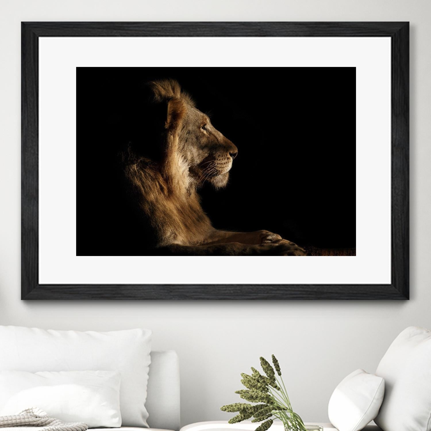 Royal Meeting in the Night by Hemb 1X on GIANT ART - black animals