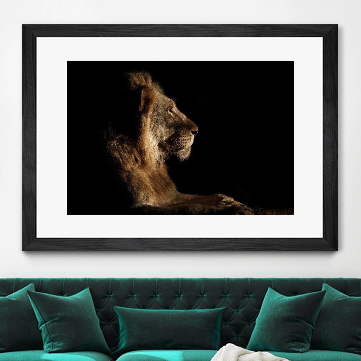 Royal Meeting in the Night by Hemb 1X on GIANT ART - black animals