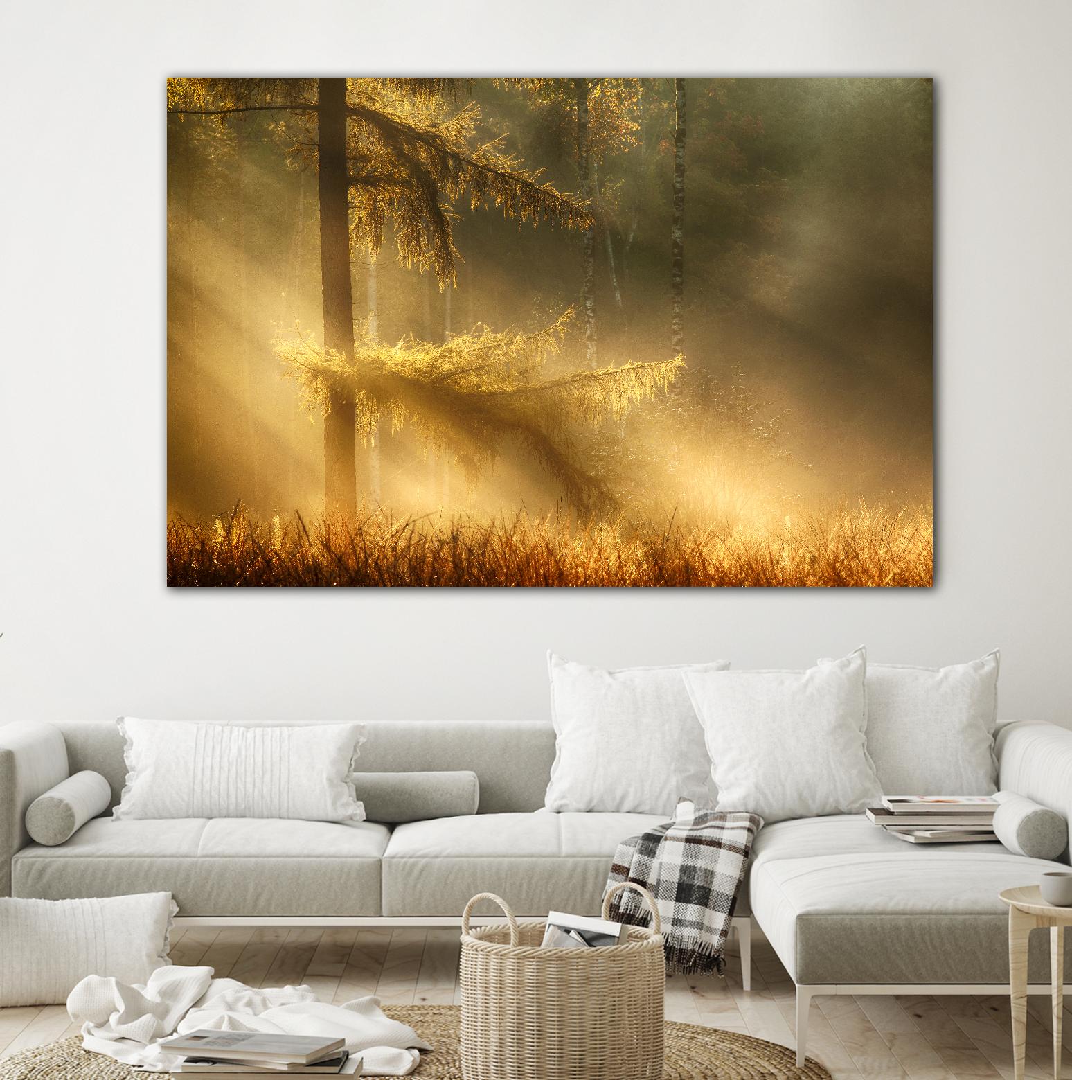 Autumn Light by Mies 1X on GIANT ART - orange trees