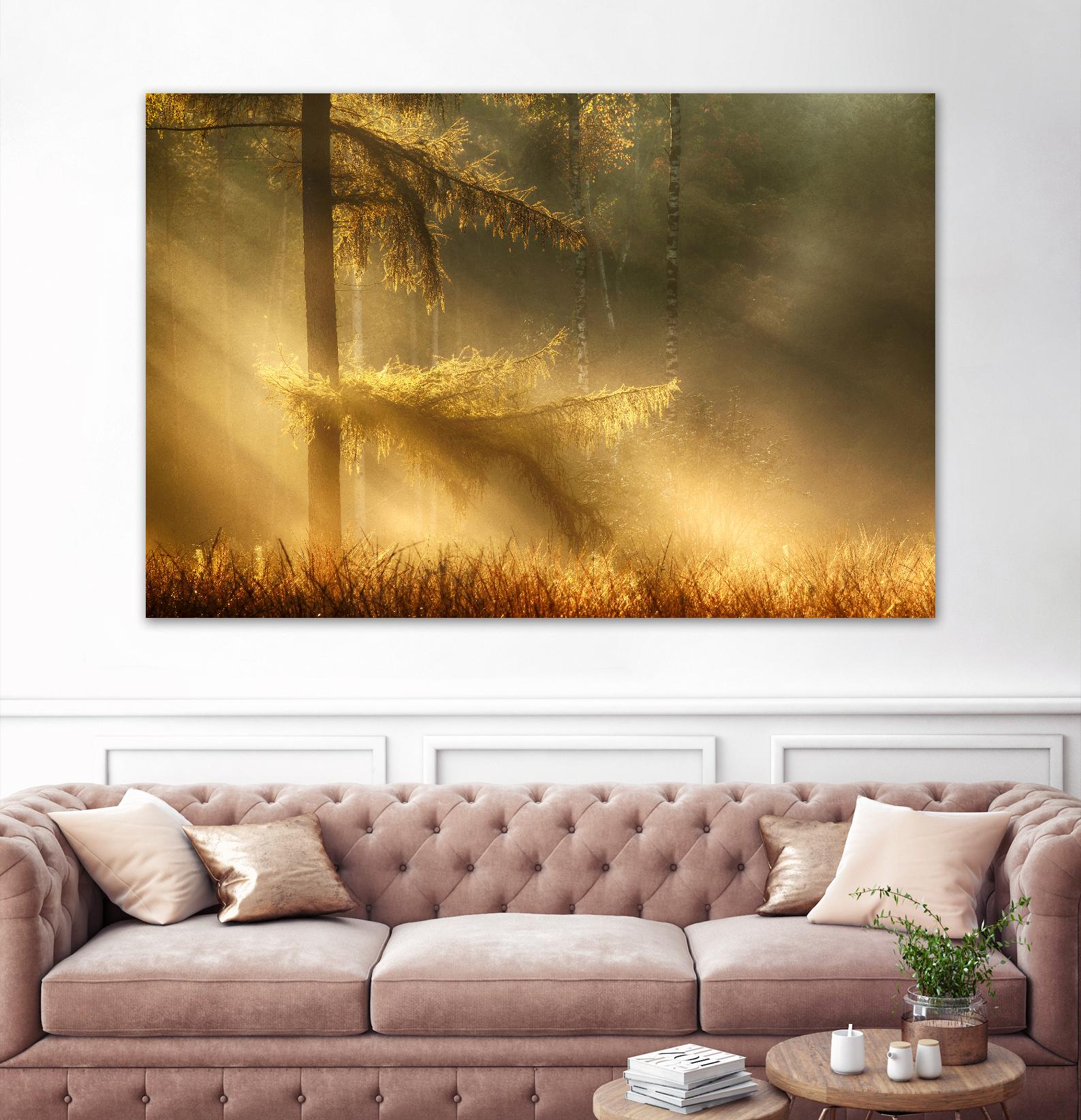 Autumn Light by Mies 1X on GIANT ART - orange trees