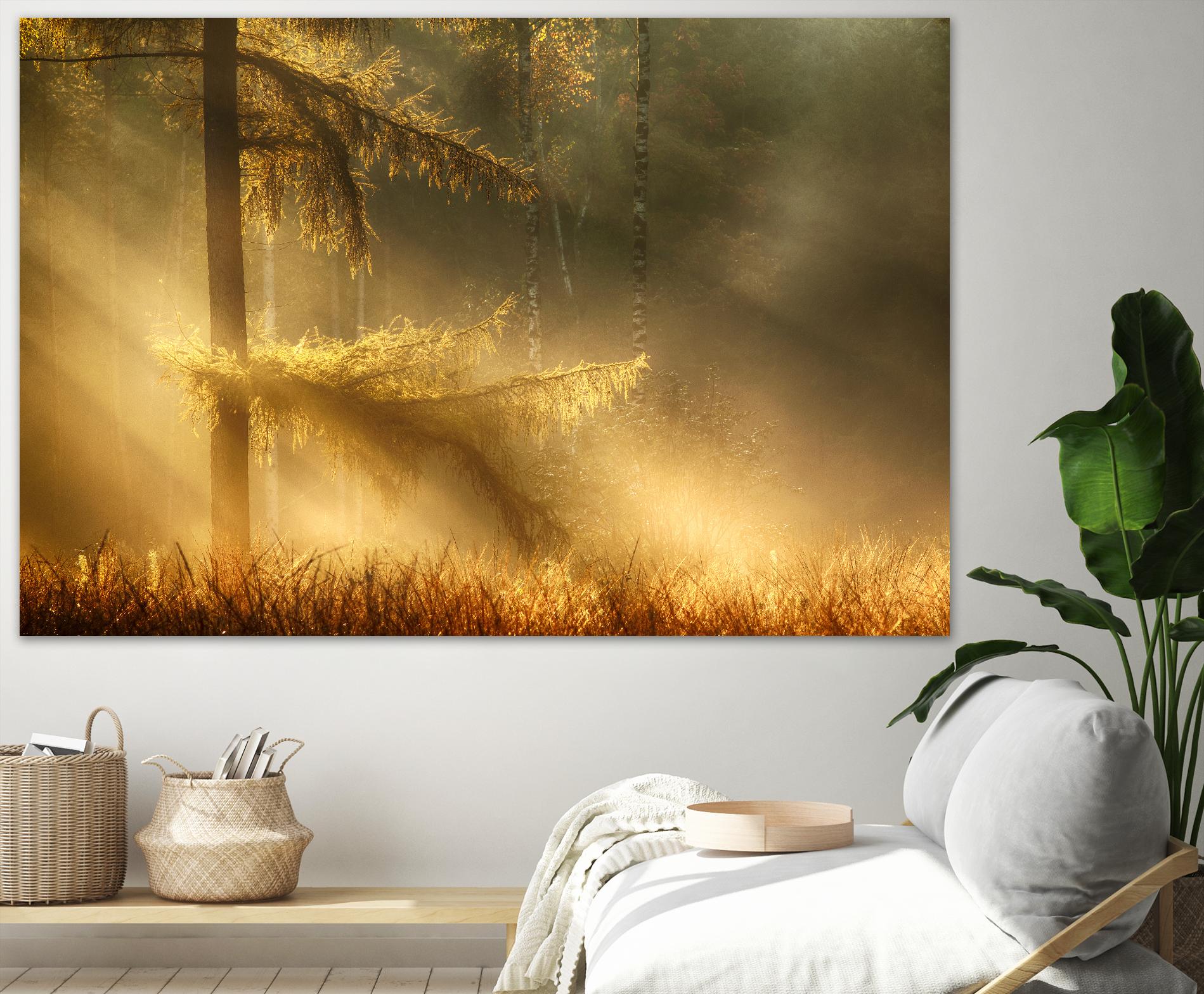 Autumn Light by Mies 1X on GIANT ART - orange trees