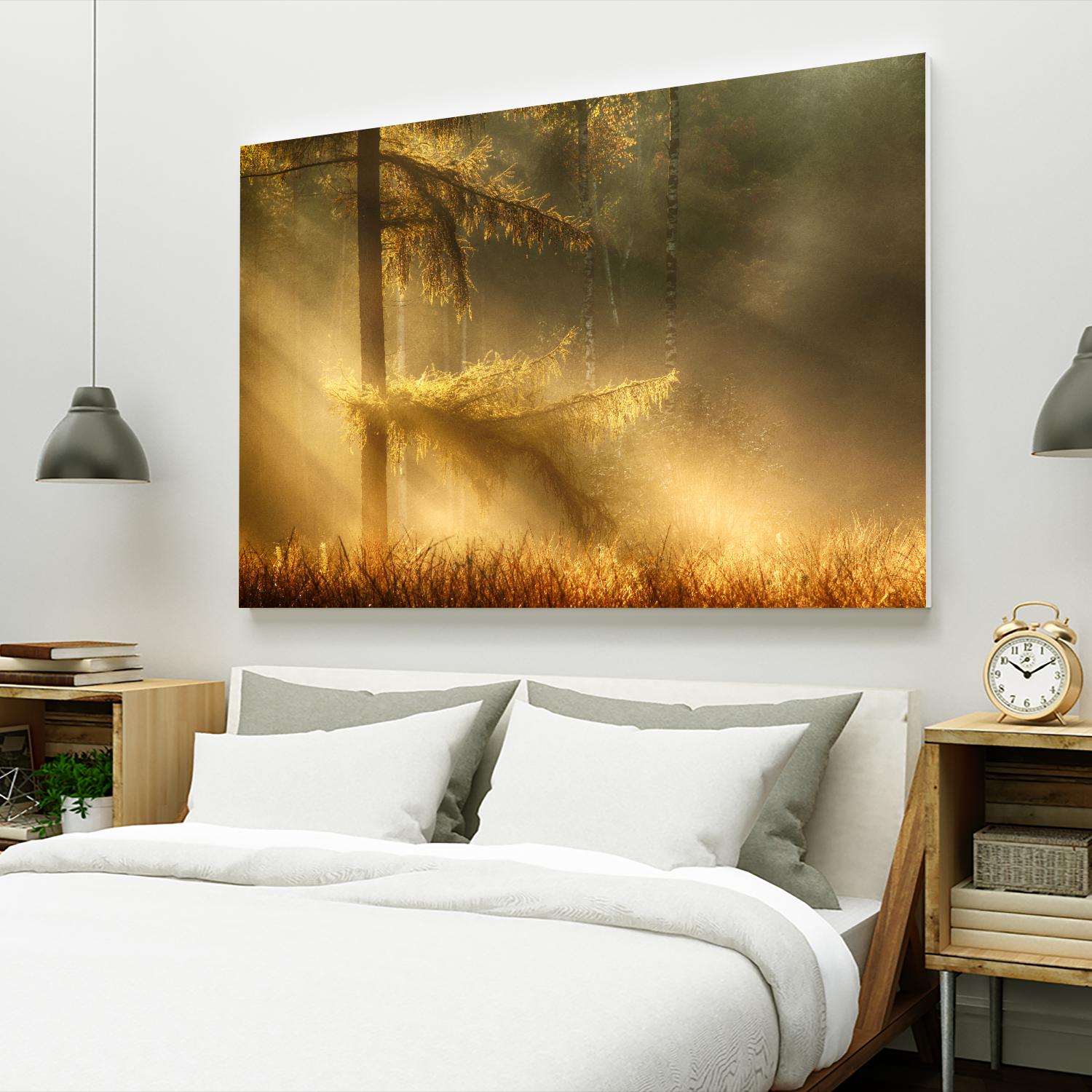 Autumn Light by Mies 1X on GIANT ART - orange trees