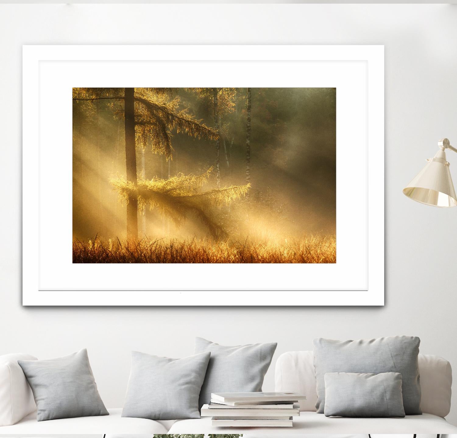 Autumn Light by Mies 1X on GIANT ART - orange trees