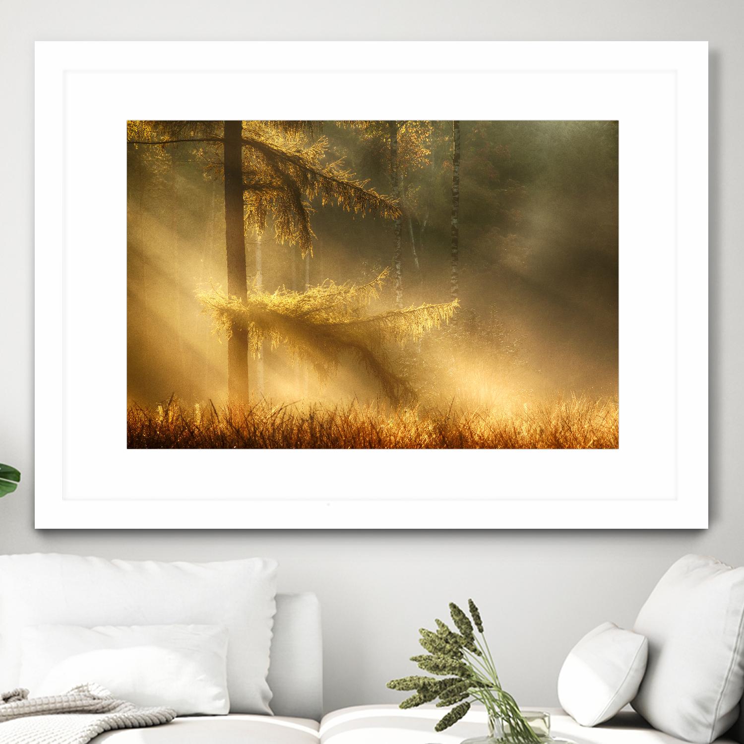 Autumn Light by Mies 1X on GIANT ART - orange trees