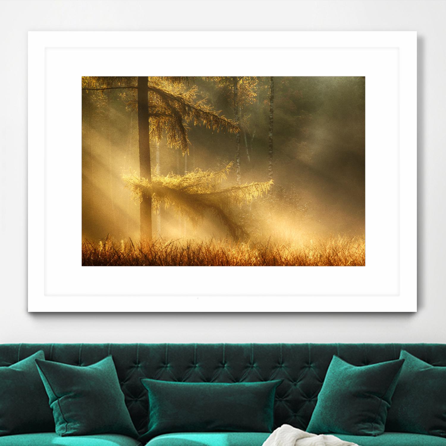 Autumn Light by Mies 1X on GIANT ART - orange trees