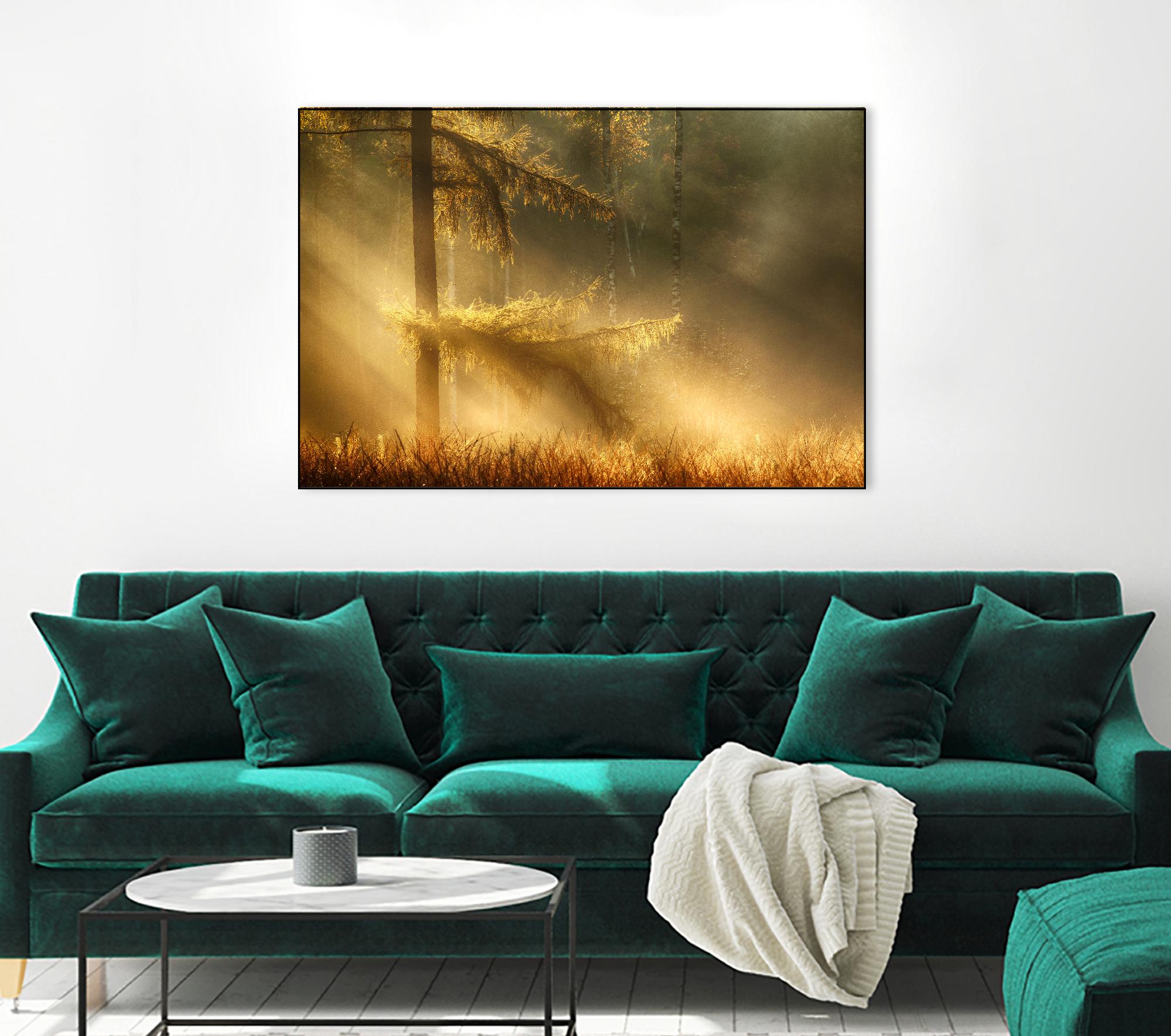 Autumn Light by Mies 1X on GIANT ART - orange trees