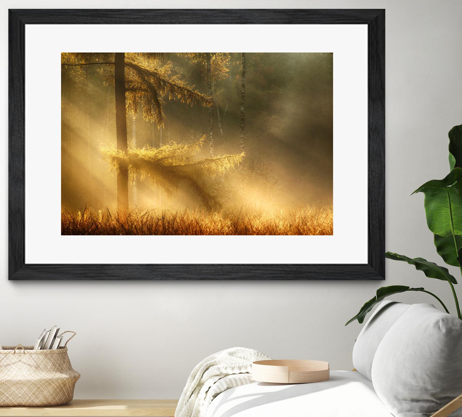 Autumn Light by Mies 1X on GIANT ART - orange trees