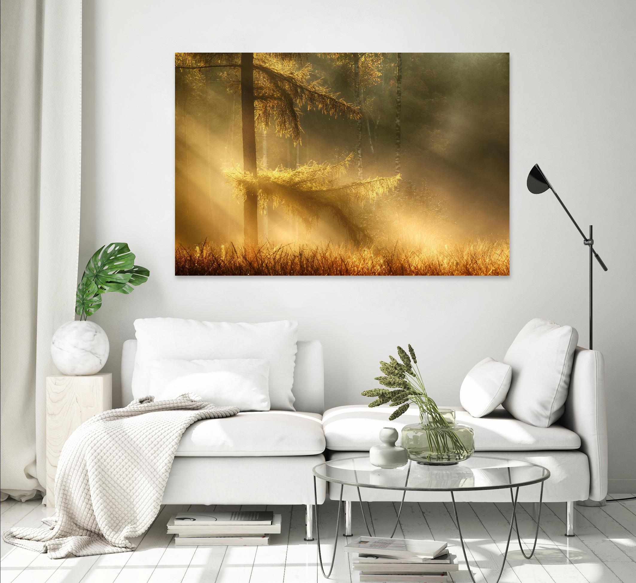 Autumn Light by Mies 1X on GIANT ART - orange trees