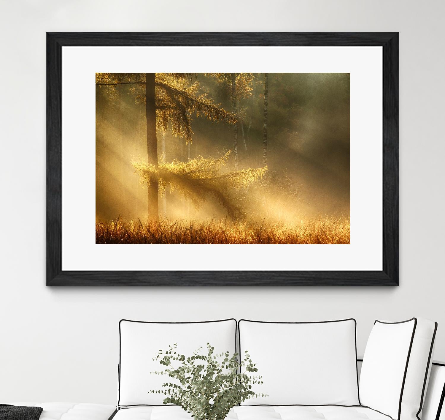 Autumn Light by Mies 1X on GIANT ART - orange trees