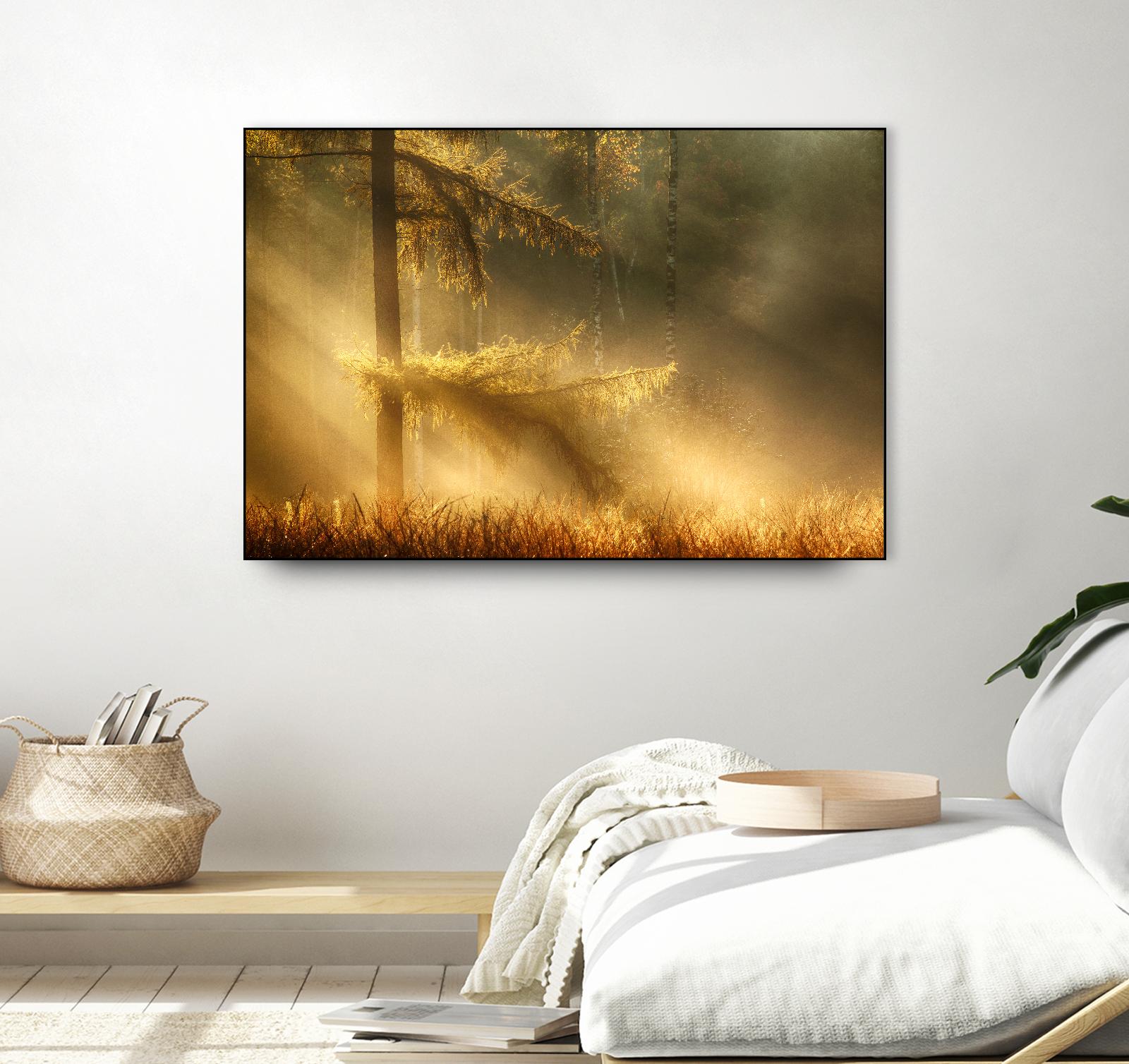 Autumn Light by Mies 1X on GIANT ART - orange trees