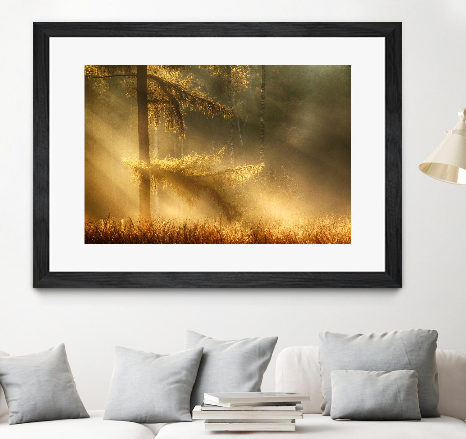 Autumn Light by Mies 1X on GIANT ART - orange trees