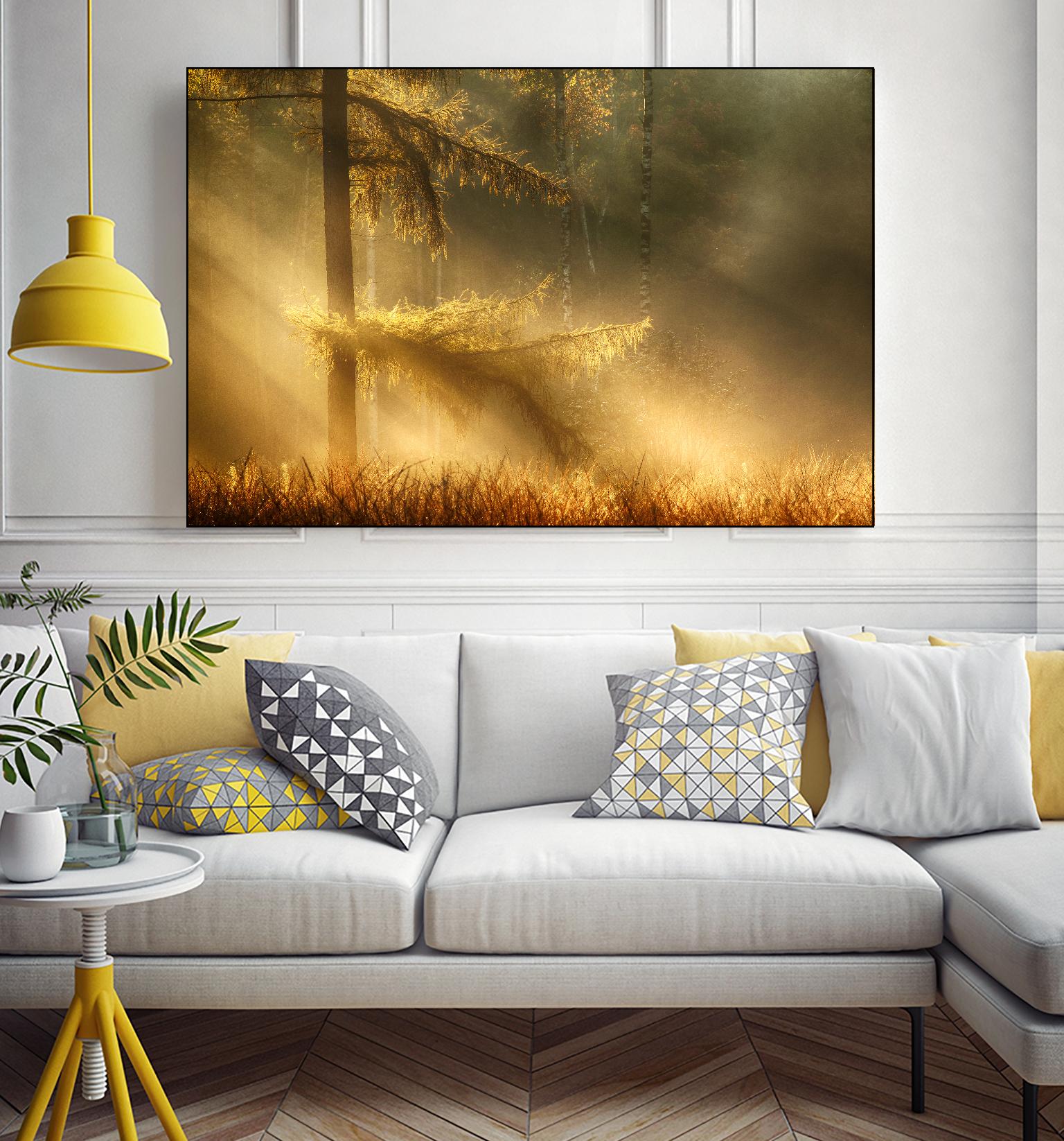 Autumn Light by Mies 1X on GIANT ART - orange trees