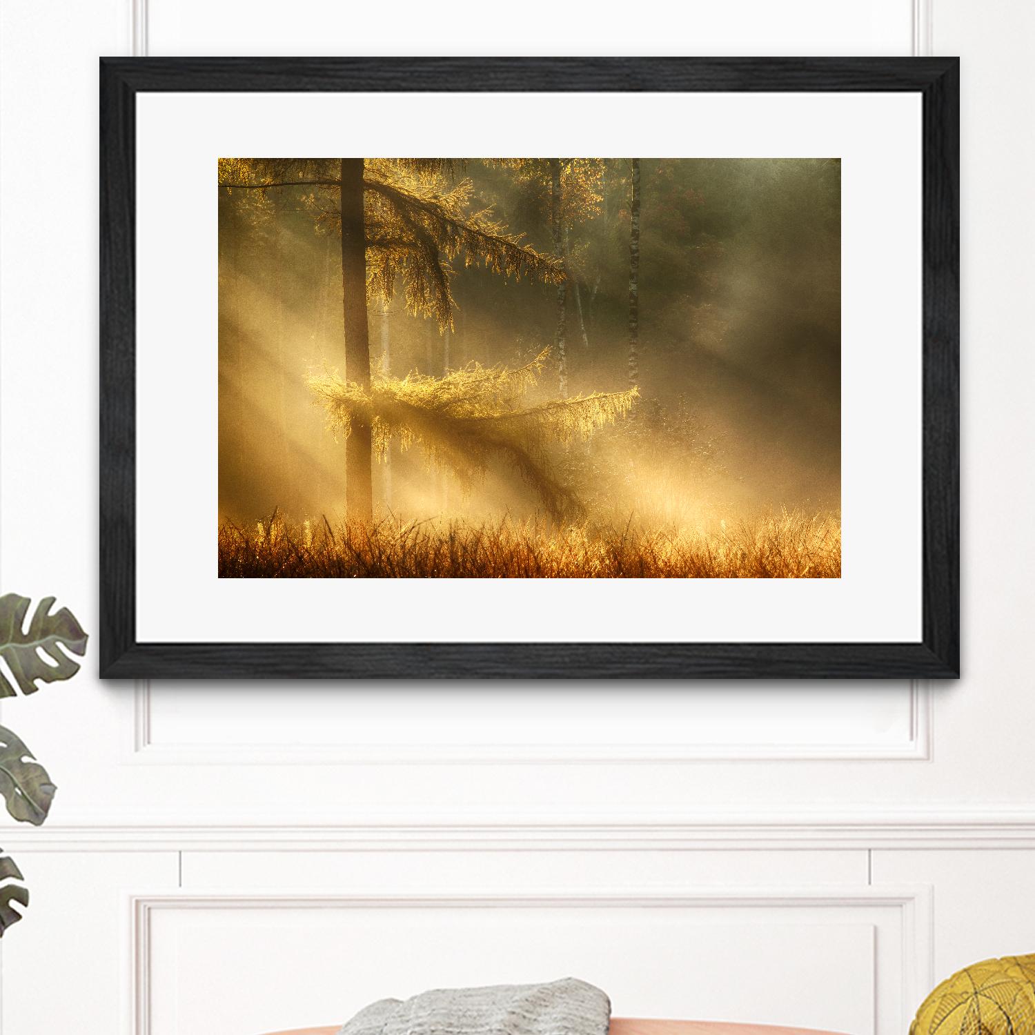 Autumn Light by Mies 1X on GIANT ART - orange trees