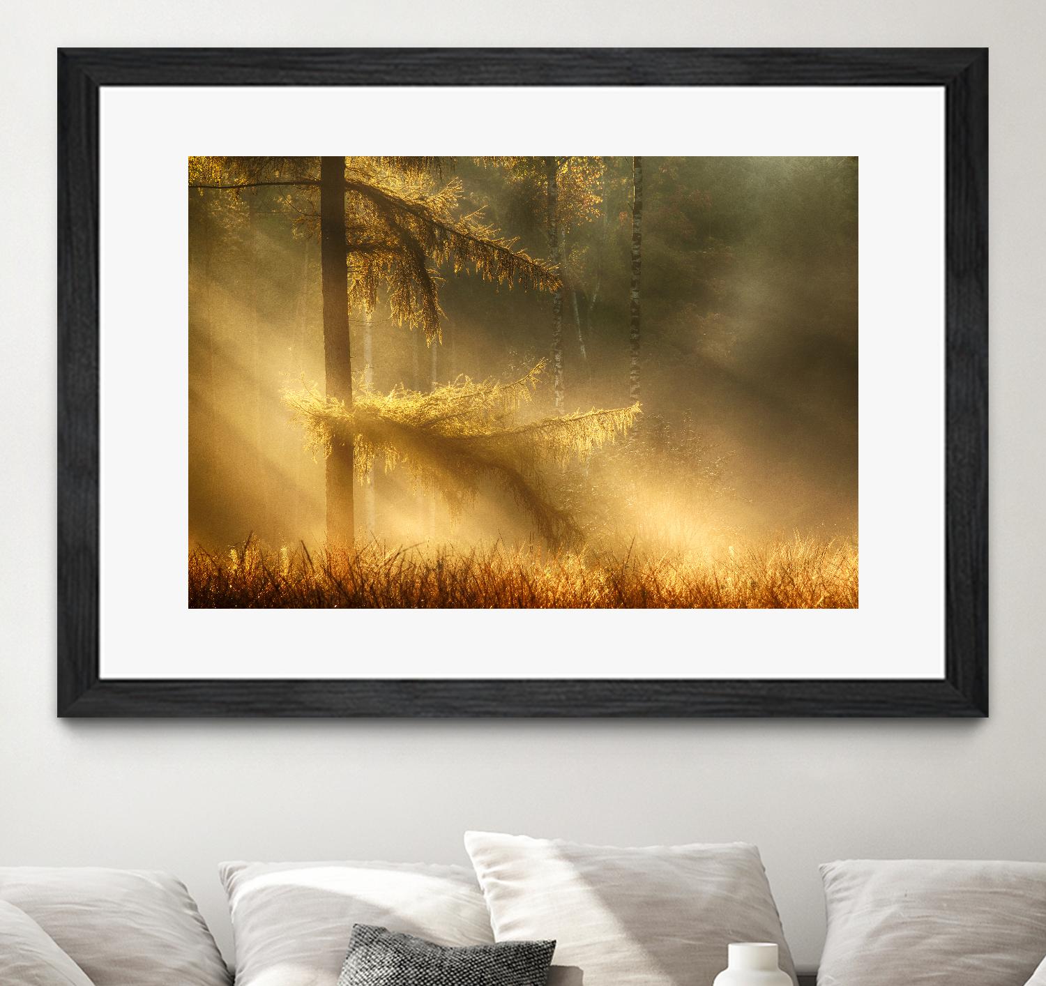 Autumn Light by Mies 1X on GIANT ART - orange trees