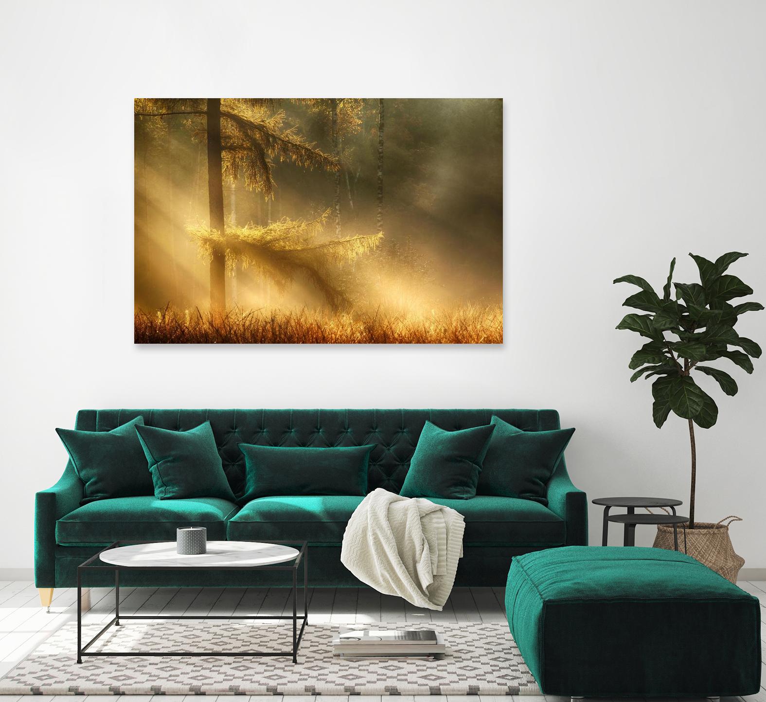 Autumn Light by Mies 1X on GIANT ART - orange trees