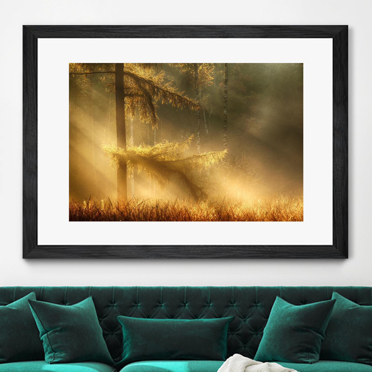 Autumn Light by Mies 1X on GIANT ART - orange trees